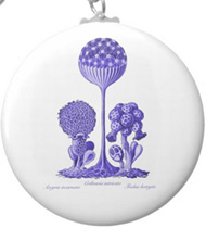 Keychains with fungi designs, based on the drawings of Ernst Haeckel