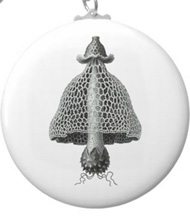 Keychains with fungi designs, based on the drawings of Ernst Haeckel