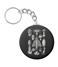 Keychains with fungi designs, based on the drawings of Ernst Haeckel