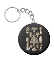 Keychains with fungi designs, based on the drawings of Ernst Haeckel