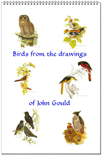 Calendar of bird drawings from John Gould