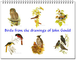 Calendar of bird drawings from John Gould