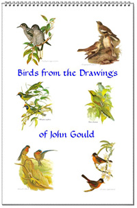 Calendar of bird drawings from John Gould