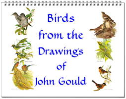 Calendar of bird drawings from John Gould