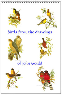 Calendar of bird drawings from John Gould