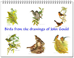 Calendar of bird drawings from John Gould