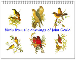 Calendar of bird drawings from John Gould