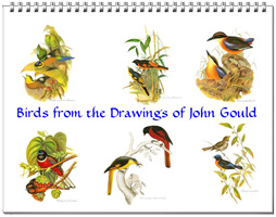 Calendar of bird drawings from John Gould