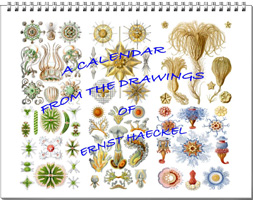 Calendar from the drawings of Ernst Haeckel