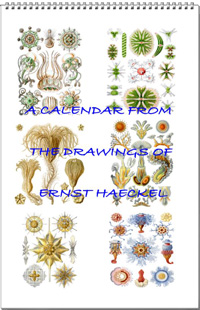 Calendar from the drawings of Ernst Haeckel