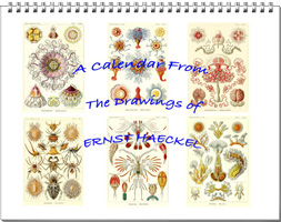 Calendar from the drawings of Ernst Haeckel