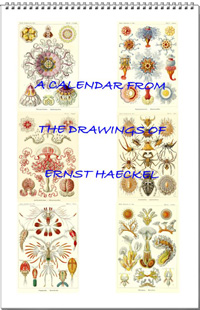 Calendar from the drawings of Ernst Haeckel