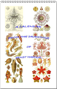 Calendar from the drawings of Ernst Haeckel