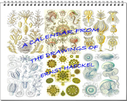 Calendar from the drawings of Ernst Haeckel