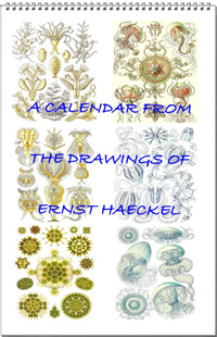 Calendar from the drawings of Ernst Haeckel