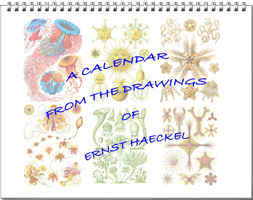 Calendar from the drawings of Ernst Haeckel