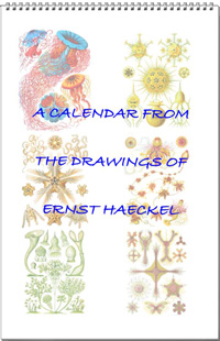 Calendar from the drawings of Ernst Haeckel