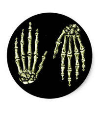 Bones of the human hand stickers