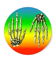 Bones of the human hand stickers