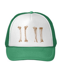 Bones of the human lower limb, hats