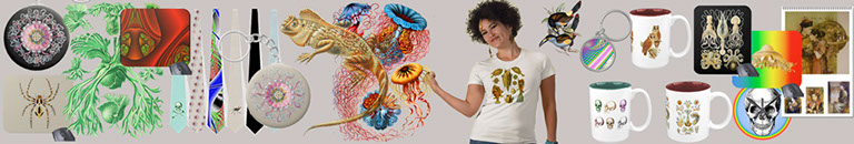 Squirrox home page header