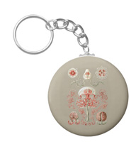 Keychains with jellyfish designs, based on the drawings of Ernst Haeckel