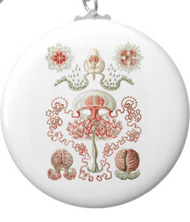 Keychains with jellyfish designs, based on the drawings of Ernst Haeckel