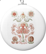 Keychains with jellyfish designs, based on the drawings of Ernst Haeckel