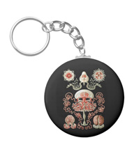 Keychains with jellyfish designs, based on the drawings of Ernst Haeckel