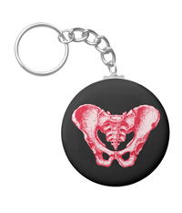 bones of the human body, Key chains