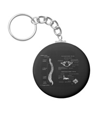 bones of the human body, Key chains