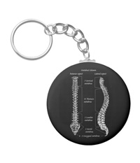 bones of the human body, Key chains