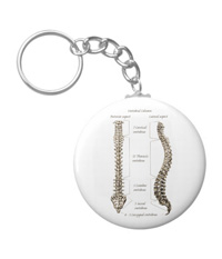 bones of the human body, Key chains