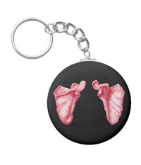 bones of the human body, Key chains