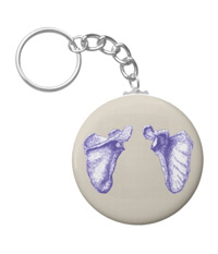 bones of the human body, Key chains