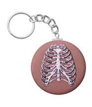 bones of the human body, Key chains