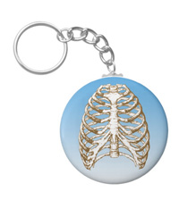 bones of the human body, Key chains