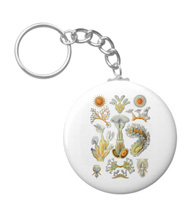 Keychains with microsopic creature designs, based on the drawings of Ernst Haeckel