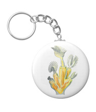 Keychains with microsopic creature designs, based on the drawings of Ernst Haeckel