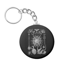 Keychains with microsopic creature designs, based on the drawings of Ernst Haeckel