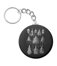 Keychains with microsopic creature designs, based on the drawings of Ernst Haeckel