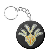 Keychains with microsopic creature designs, based on the drawings of Ernst Haeckel