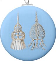 Keychains with microsopic creature designs, based on the drawings of Ernst Haeckel