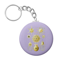 Keychains with microsopic creature designs, based on the drawings of Ernst Haeckel