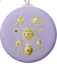 Keychains with microsopic creature designs, based on the drawings of Ernst Haeckel