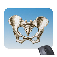 bones of the human body, mouse mats