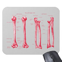 Bones of the human lower limb, mouse mats