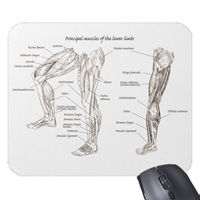 Bones of the human lower limb, mouse mats