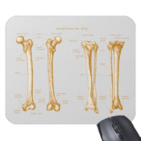 Bones of the human lower limb, mouse mats