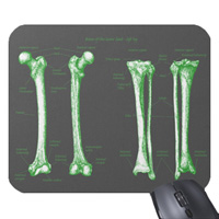 Bones of the human lower limb, mouse mats